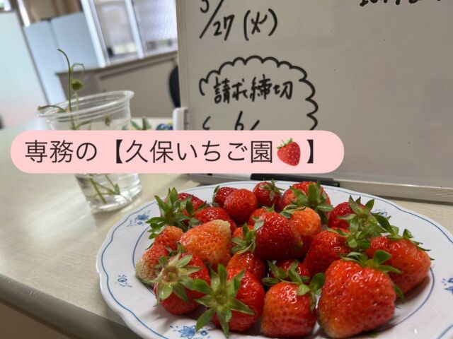 子供の時ぶり♪こんなに苺が取れて
幸せです.
毎日鳥との競争で収穫〜🍓

#いちご狩り
#久保組
#三条市