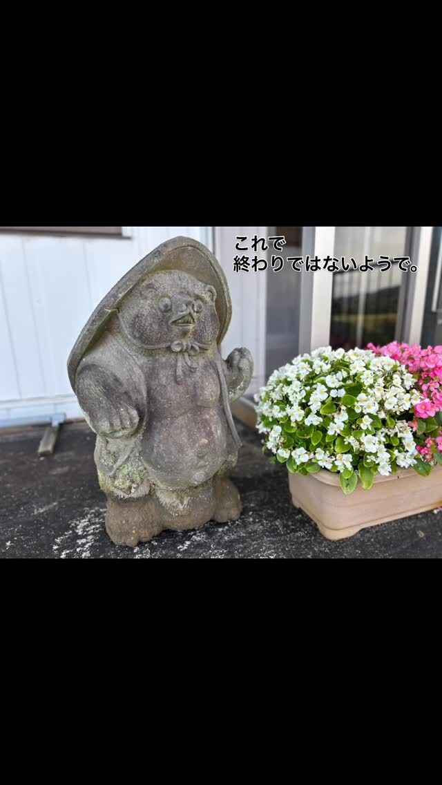 会長宅の中庭にいたタヌキさん
久保組へお引越し．

先先代、
会長のお父様が
福島県で惚れて購入してきたとのお話．

置いただけでは終わらず
久保組のなんでも屋
器用な専務がなにやらコトコト…

ウェルカムボードを作るそうです♪
楽しみ．

#三条市 
#久保組 
#新潟県三条市